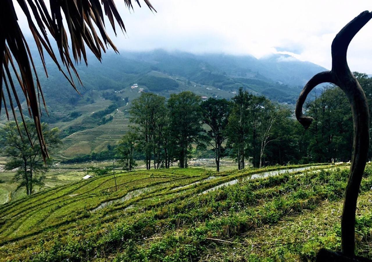 Sapa Hmong Bungalow Homestay エクステリア 写真